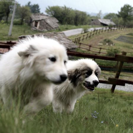 Agriturismo A Nostro Mizoun Ostana Dış mekan fotoğraf