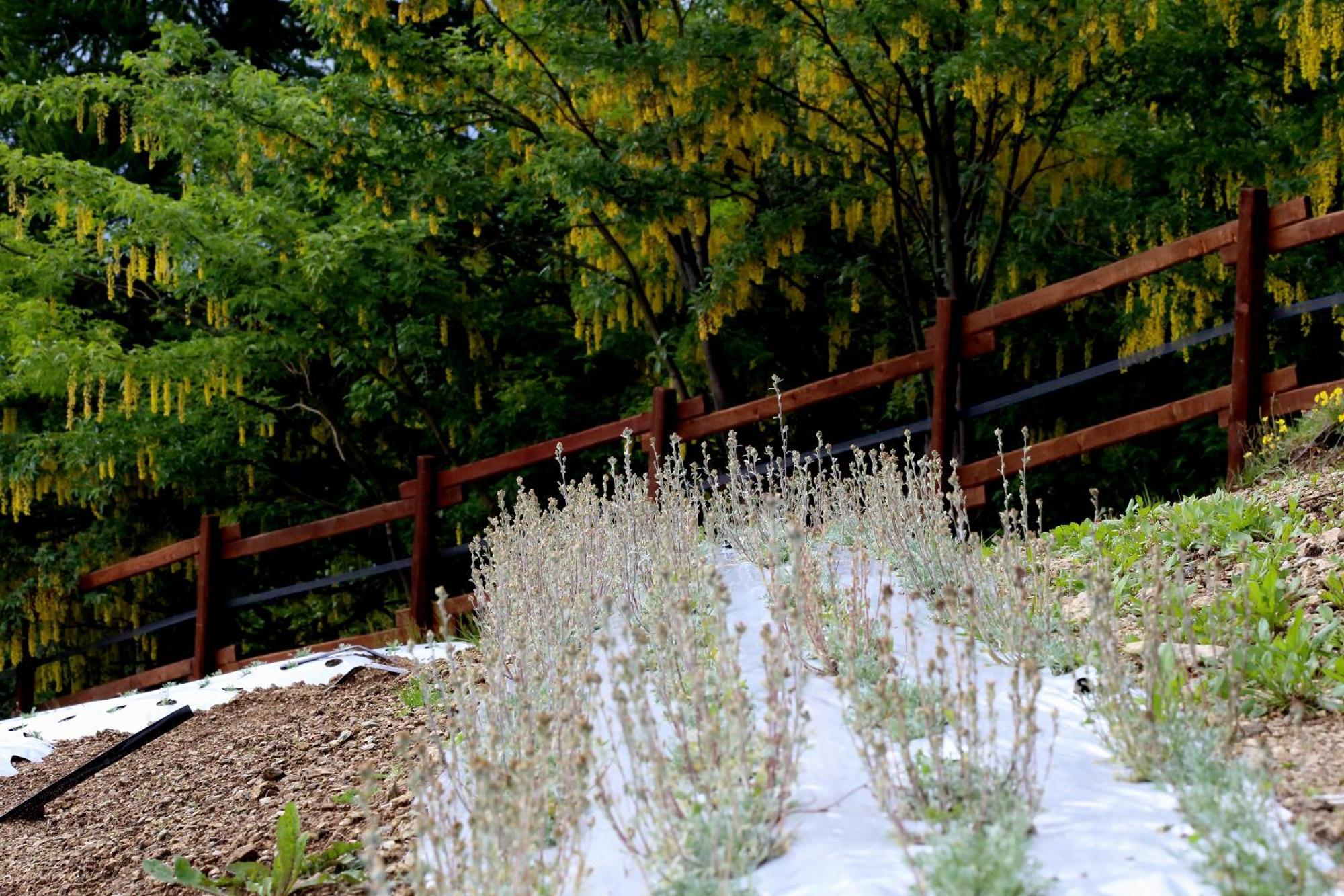 Agriturismo A Nostro Mizoun Ostana Dış mekan fotoğraf
