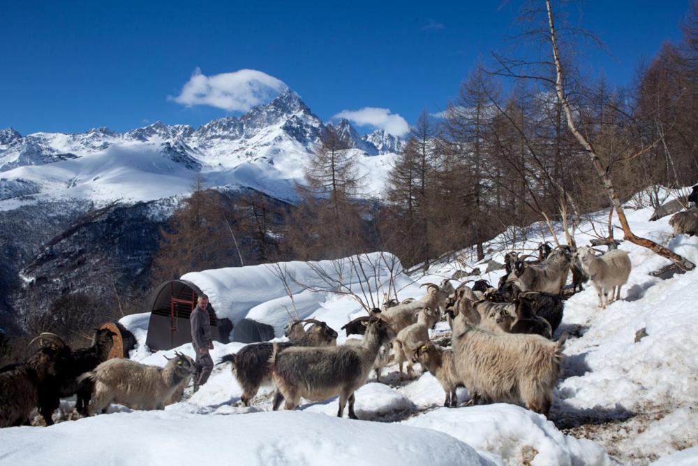 Agriturismo A Nostro Mizoun Ostana Dış mekan fotoğraf